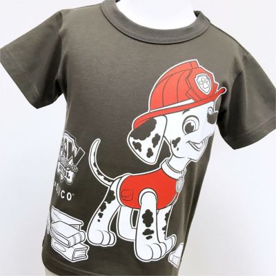 きかんしゃトーマス×大井川鐵道×OJICO 2021