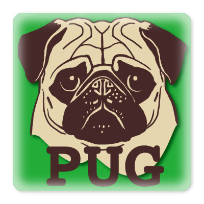 OJICOのパズル・PUG
