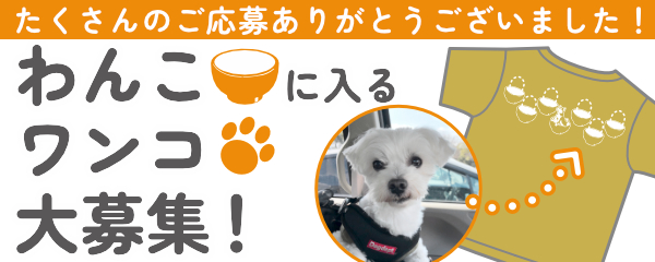 わんこに入るワンコ大募集！