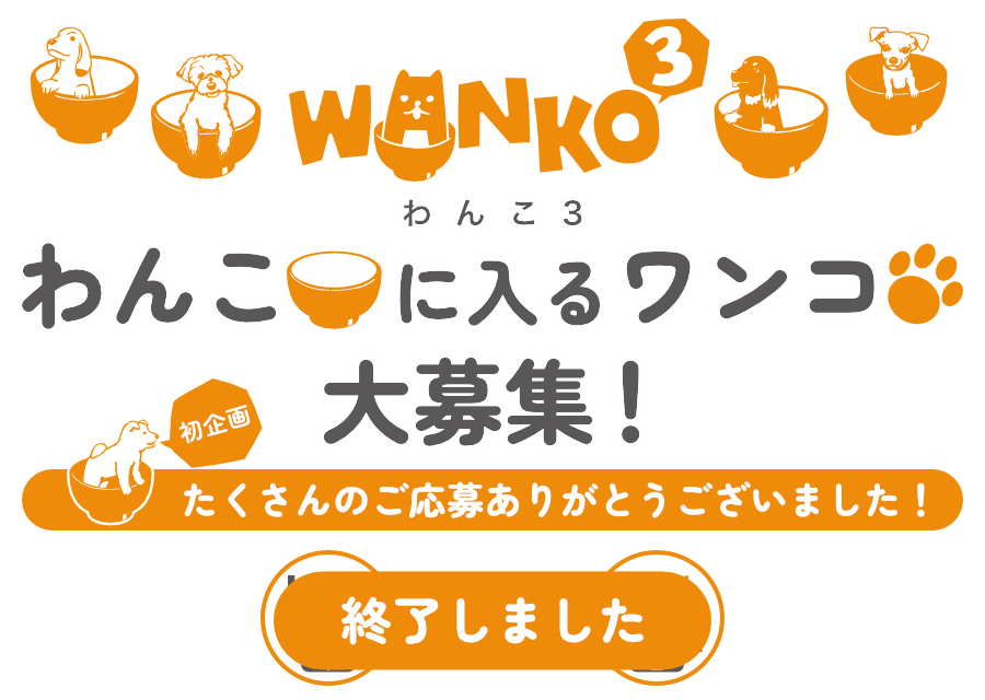 WANKO3モデルわんちゃん大募集