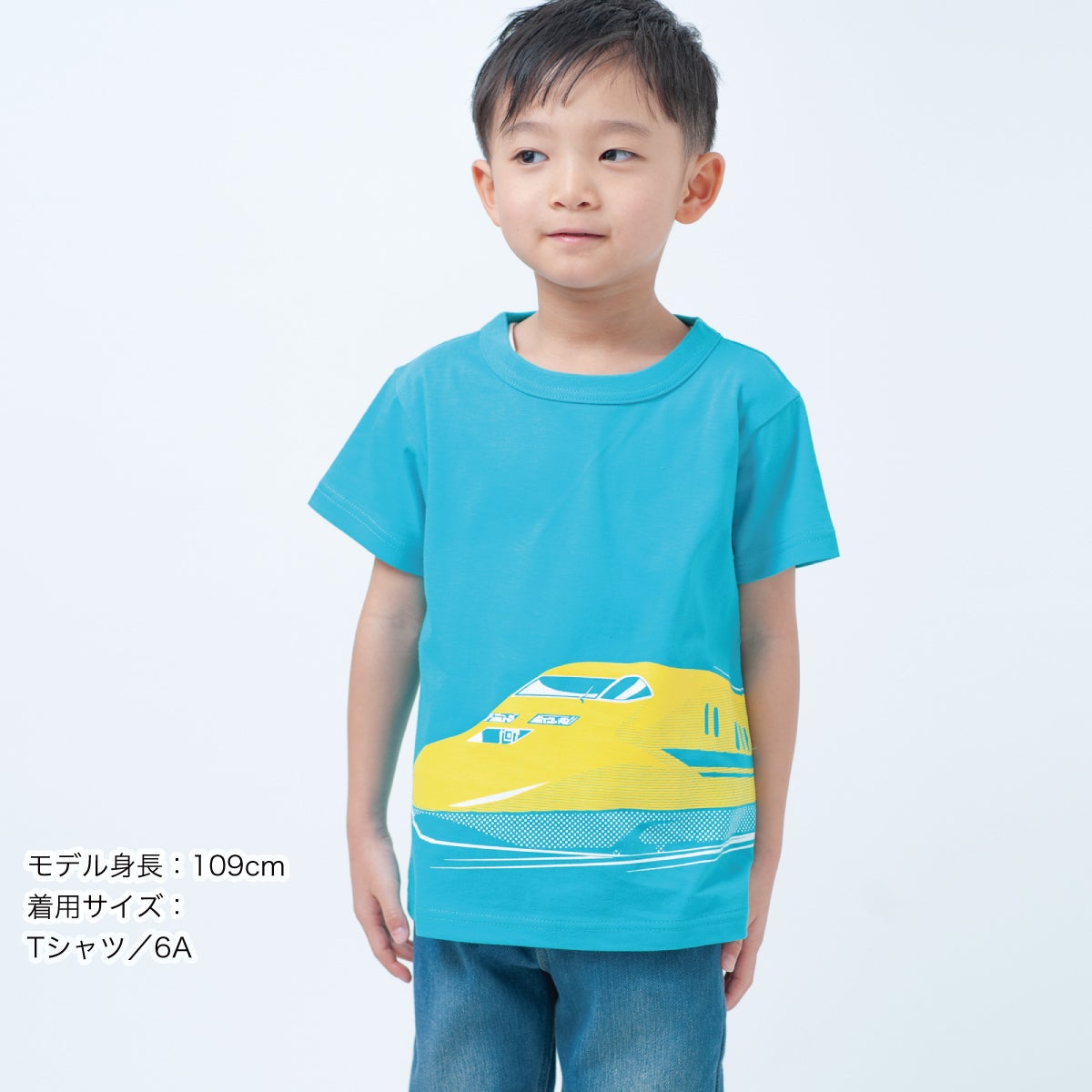 半袖Tシャツ「1FUJI 2TAKA 3Dr.」（1フジ 2タカ 3ドクター） | Tシャツ