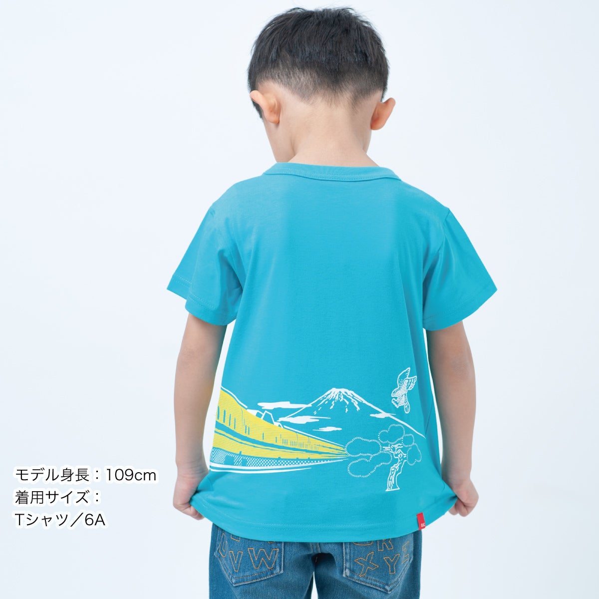半袖Tシャツ「1FUJI 2TAKA 3Dr.」（1フジ 2タカ 3ドクター） | Tシャツ